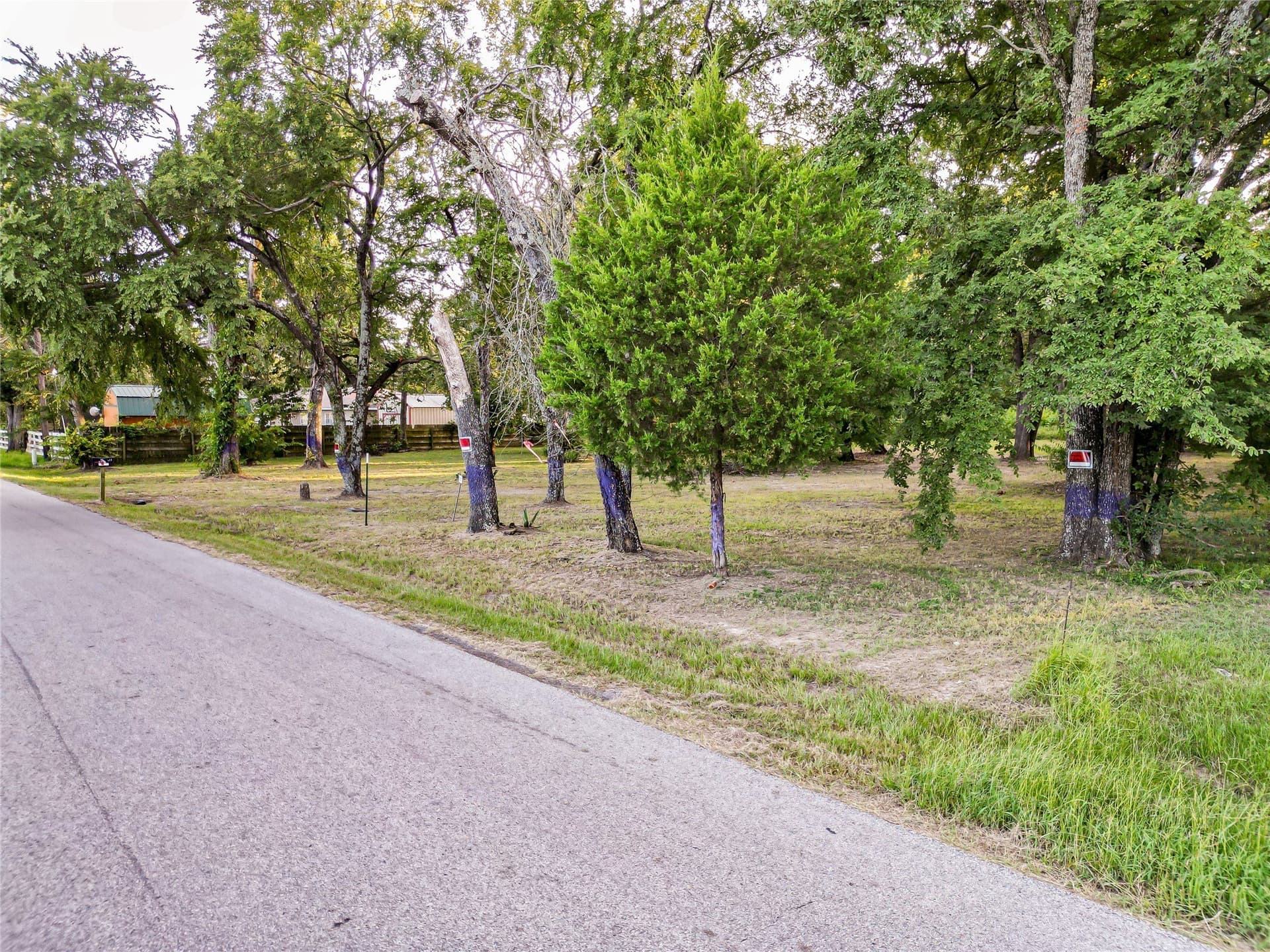 2 acres in Henderson County - photo 11