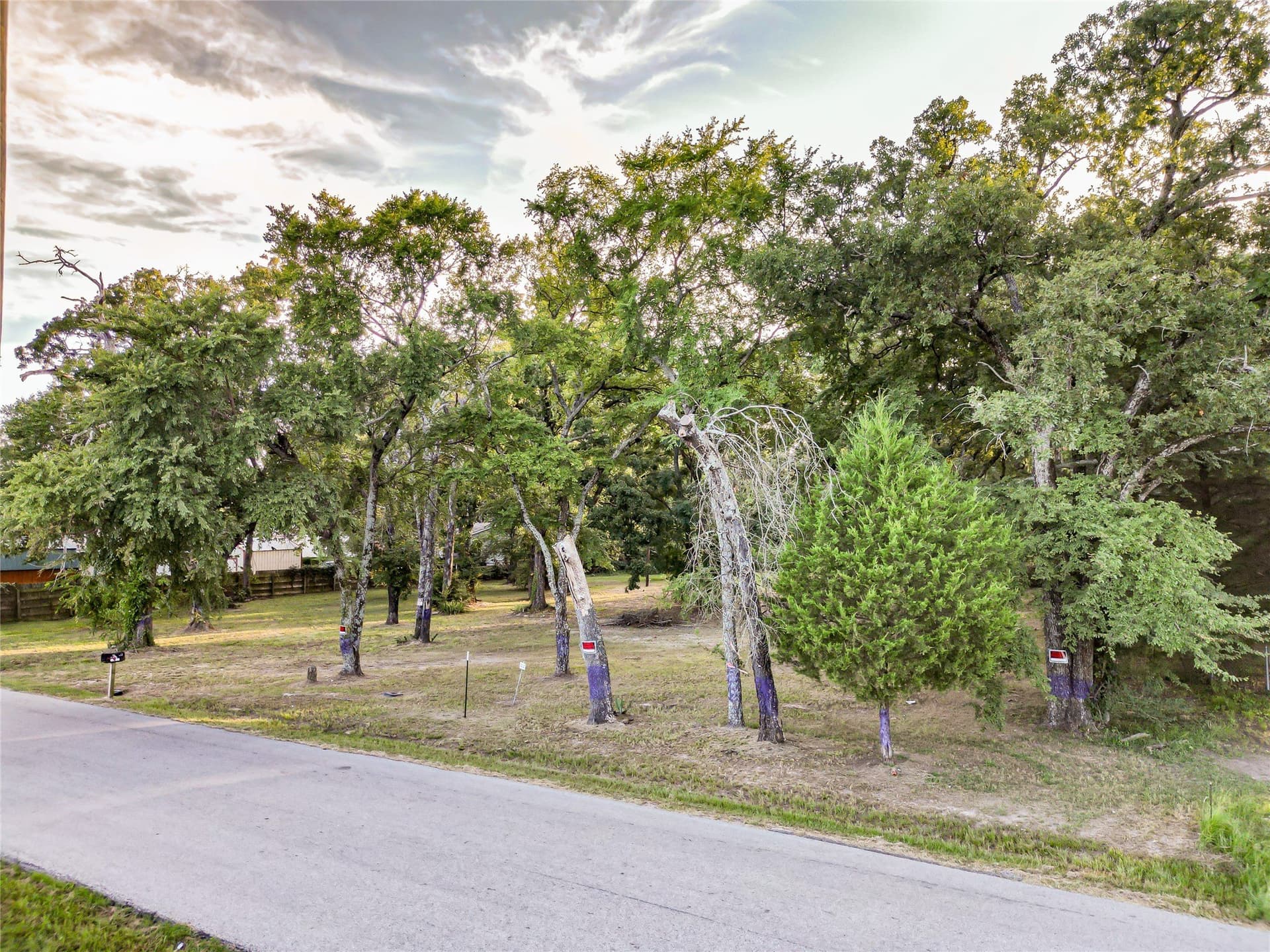 2 acres in Henderson County - photo 5
