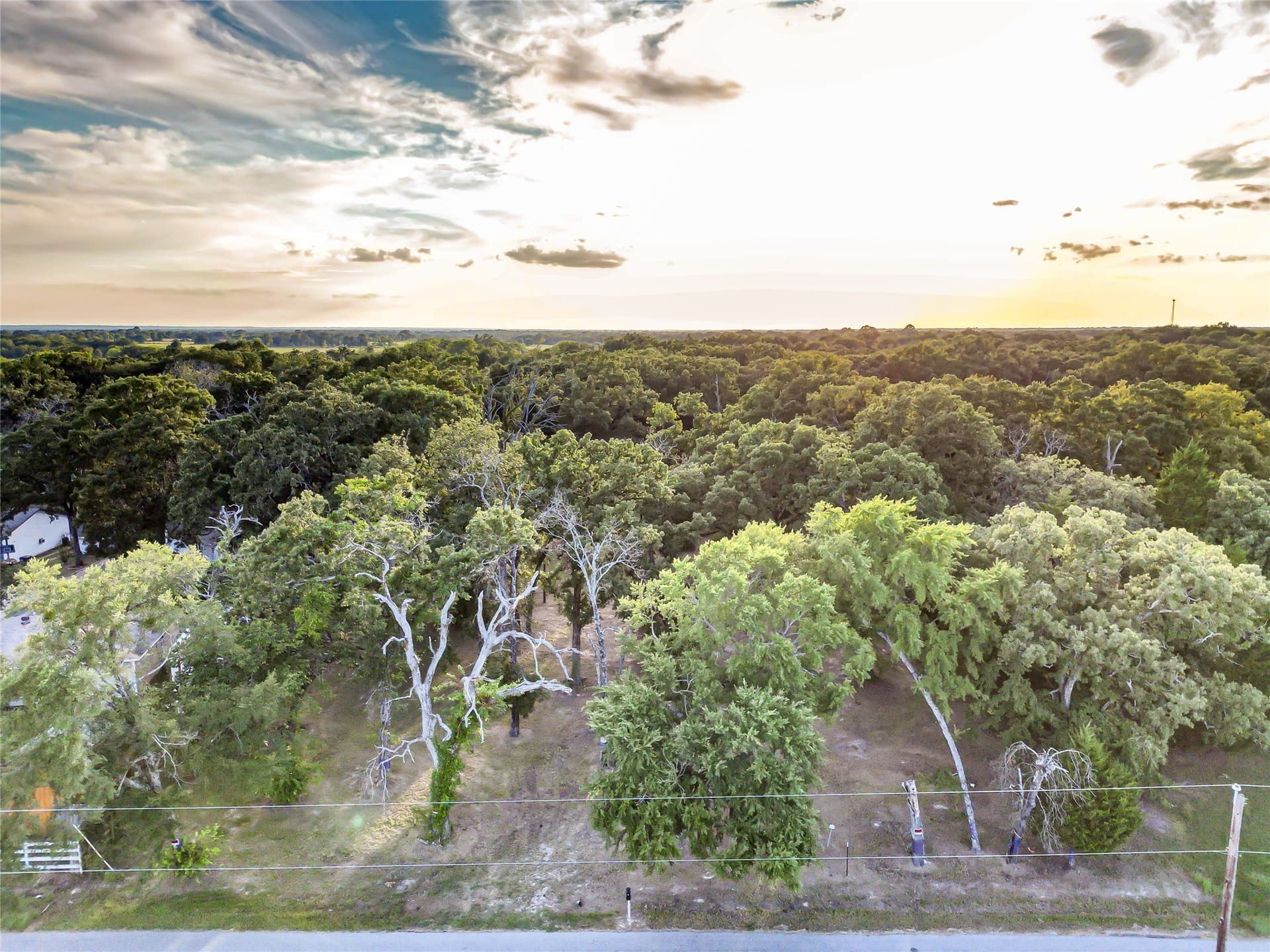 2 acres in Henderson County - photo 4