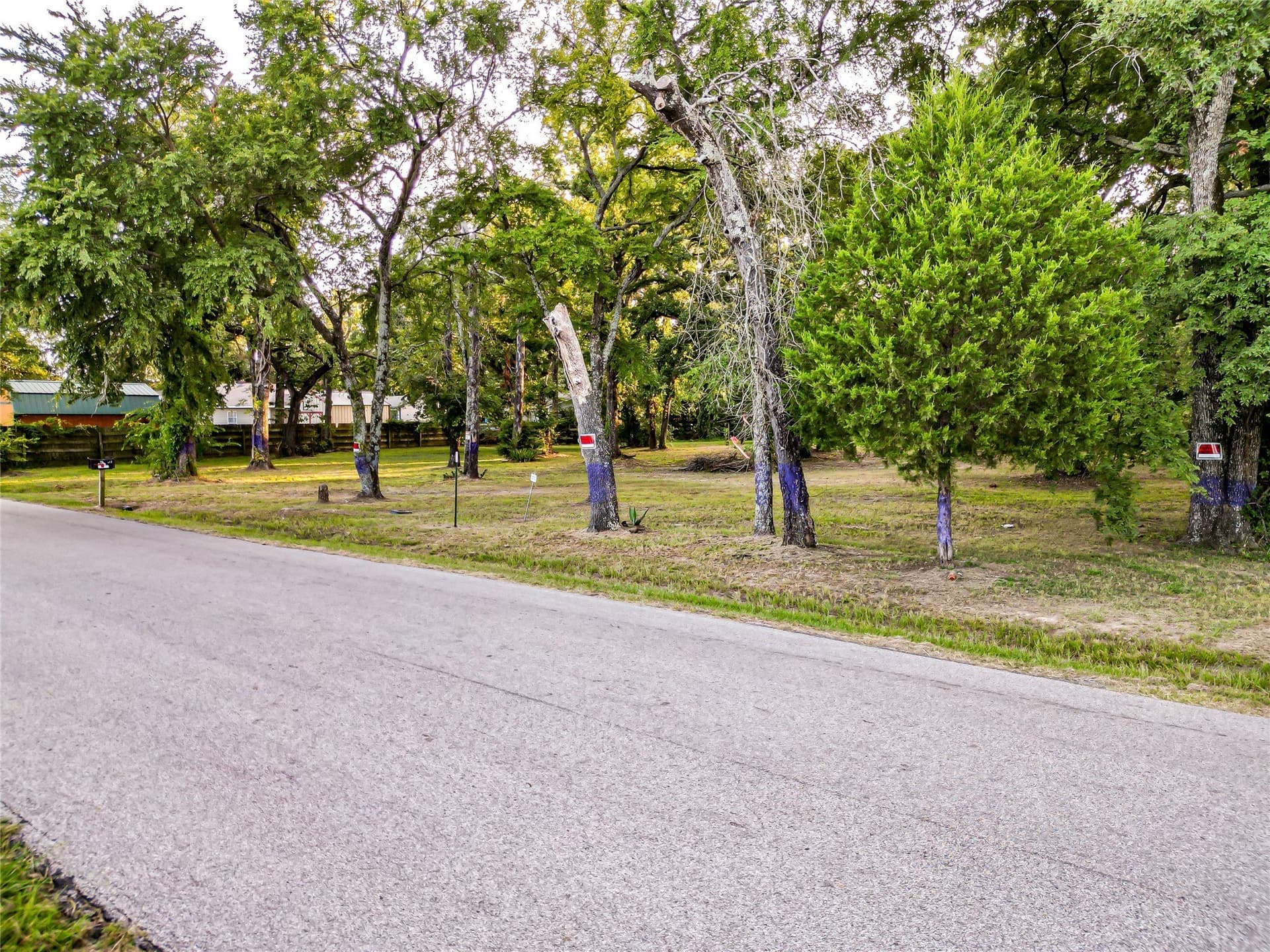 2 acres in Henderson County - photo 12