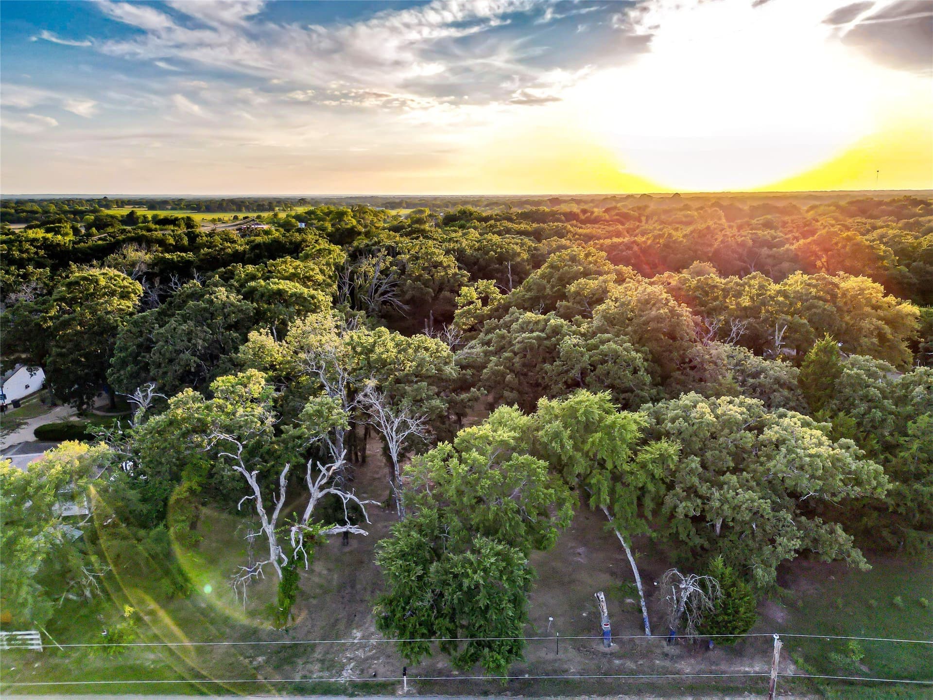 2 acres in Henderson County - photo 14