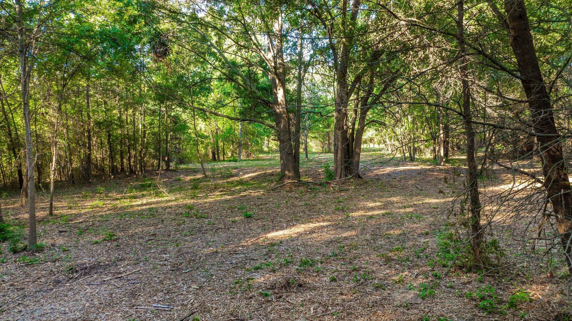 5.18 acres in Gregg County - photo 12