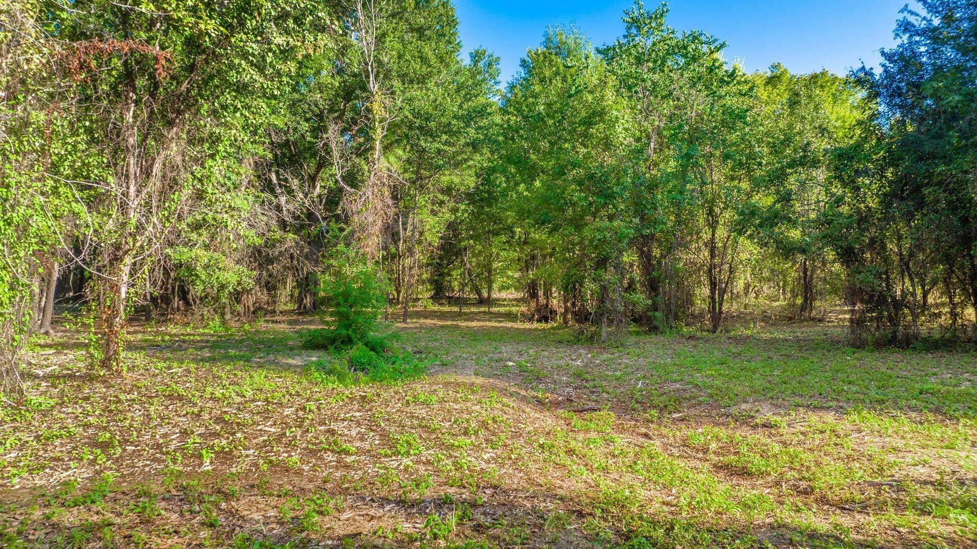 5.18 acres in Gregg County - photo 9