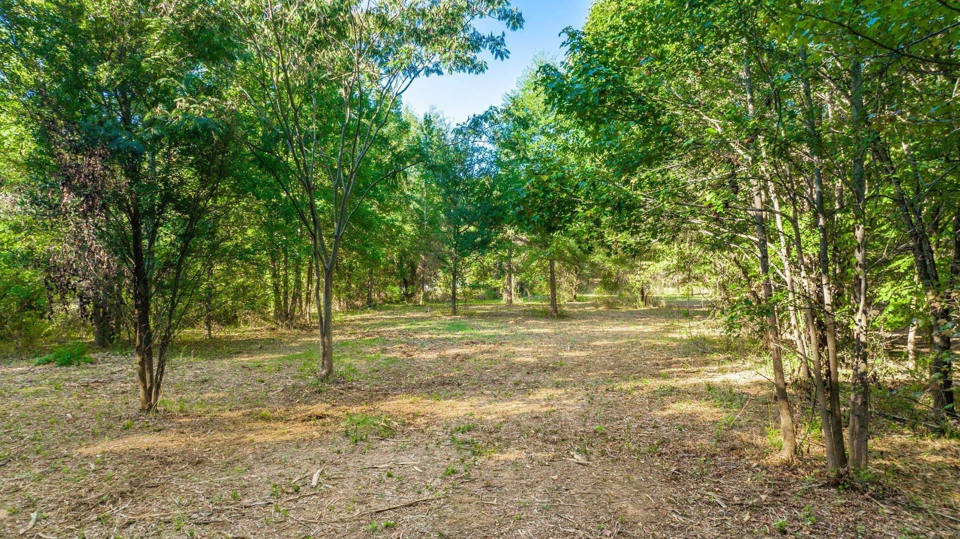 5.18 acres in Gregg County - photo 7