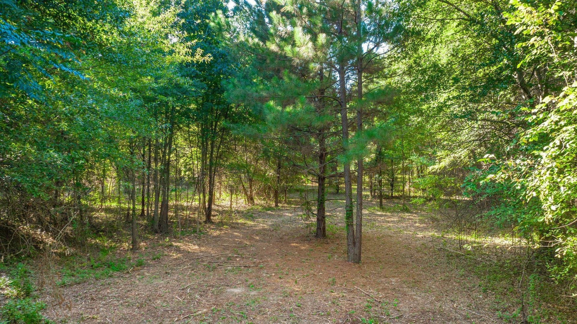 5.18 acres in Gregg County - photo 8