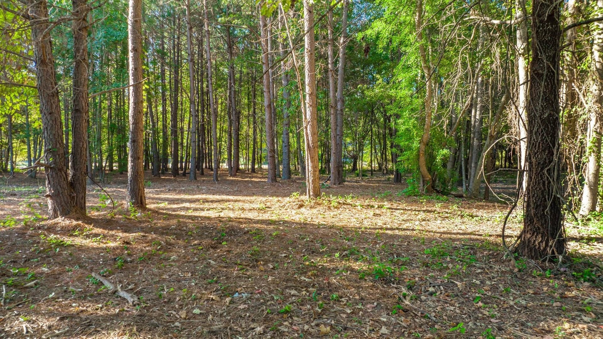 5.18 acres in Gregg County - photo 13
