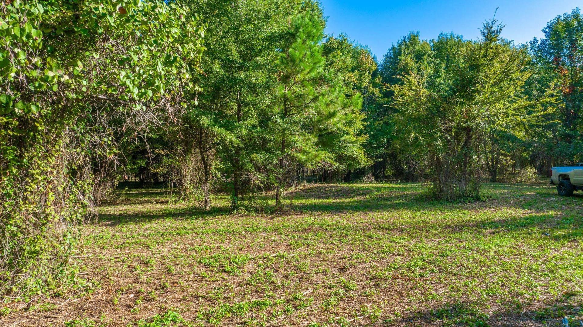 5.18 acres in Gregg County - photo 6