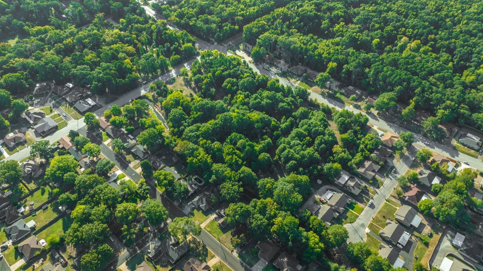 5.18 acres in Gregg County gallery image 4
