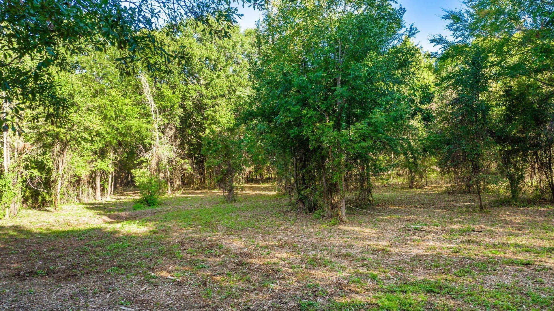 5.18 acres in Gregg County - photo 11