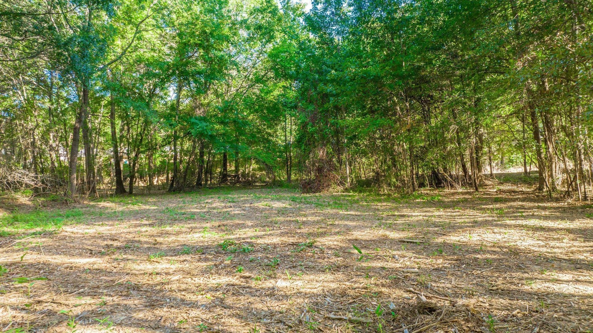 5.18 acres in Gregg County - photo 10