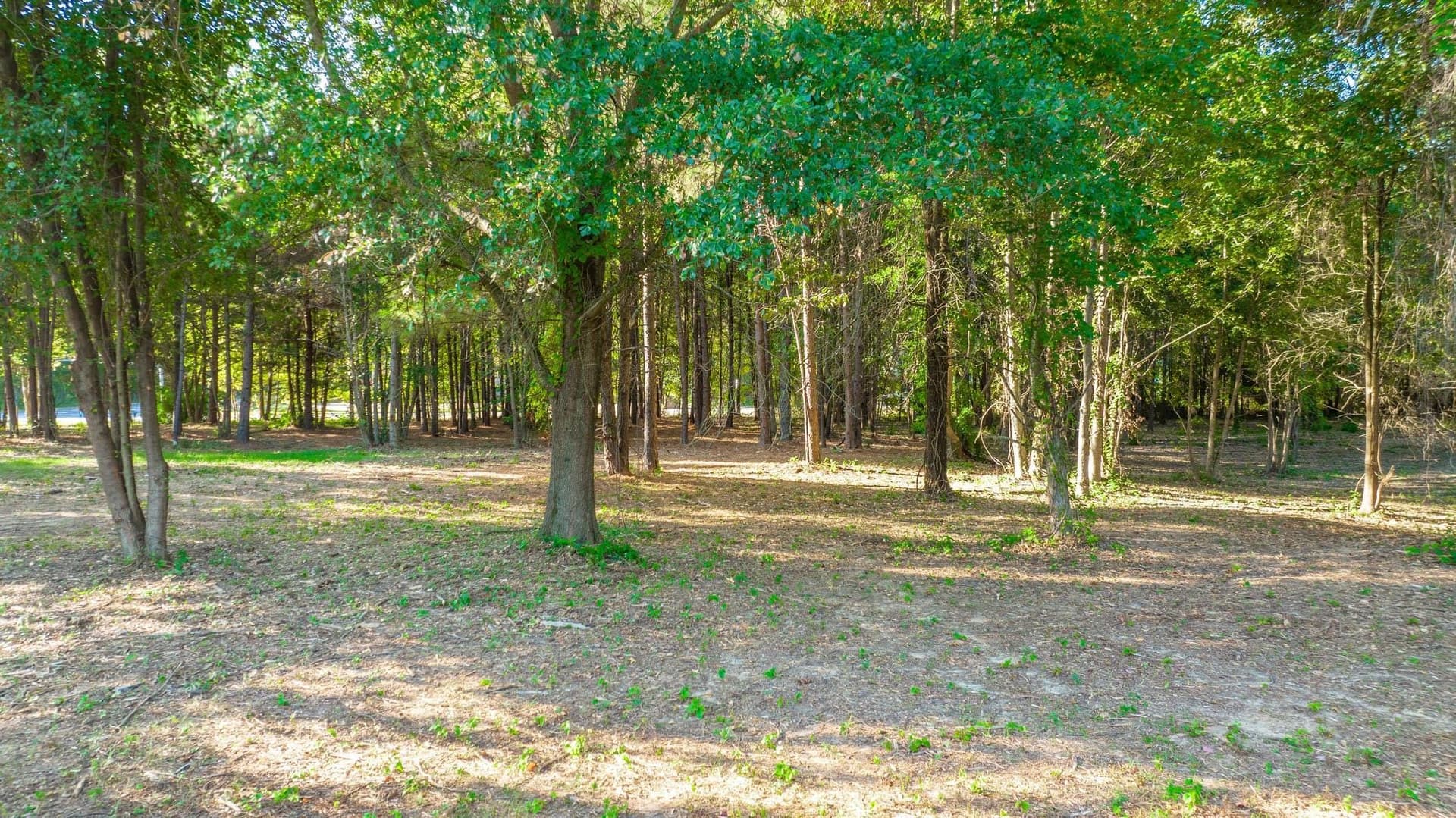 5.18 acres in Gregg County - photo 14