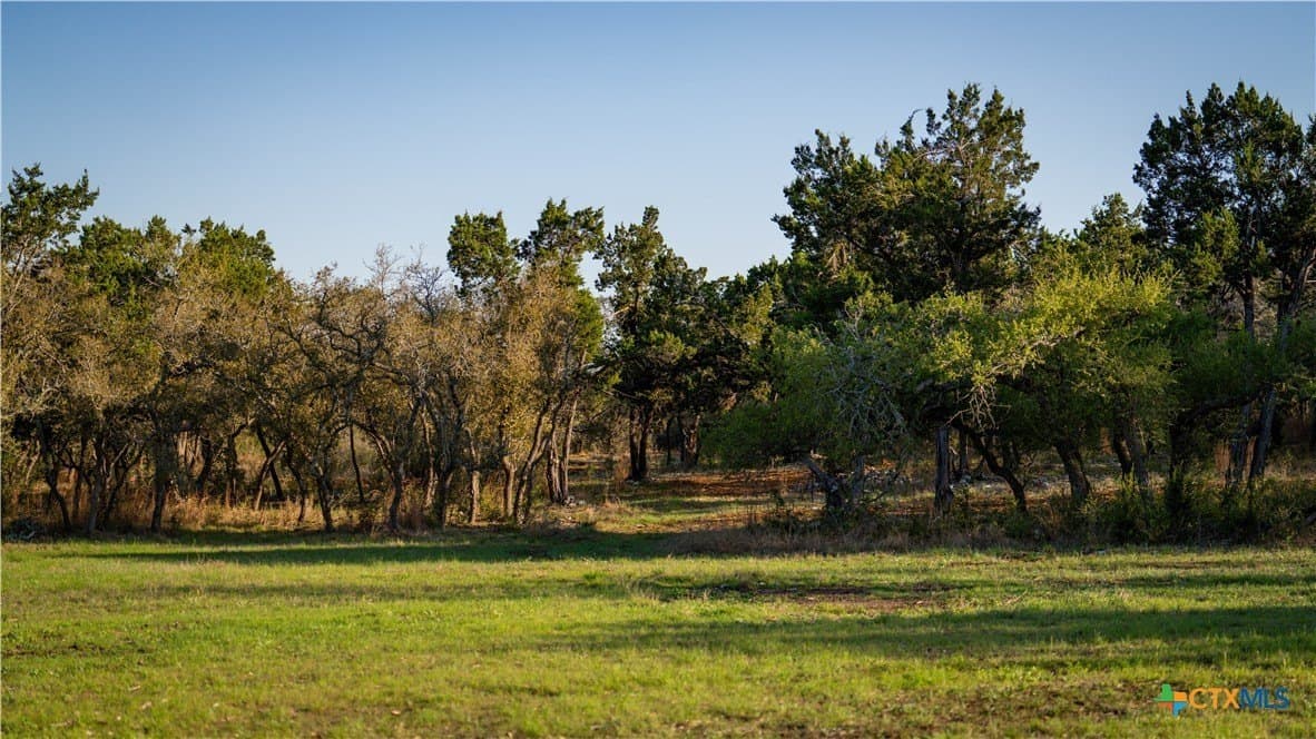 25 acres in Hays County featured view