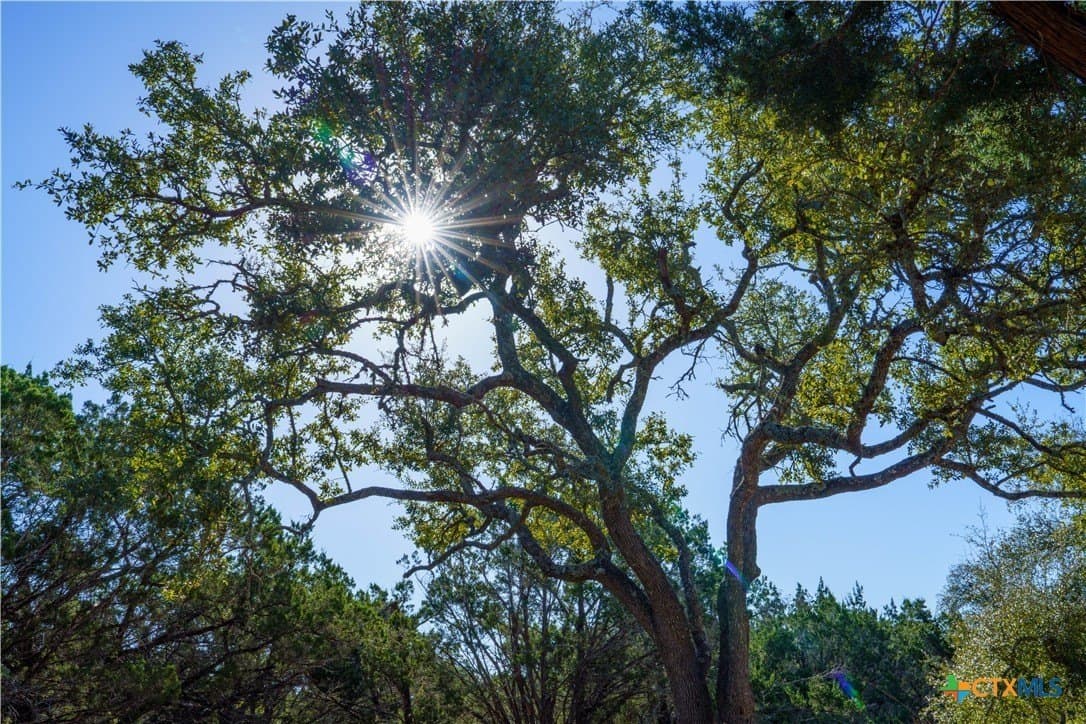 25 acres in Hays County gallery image 4