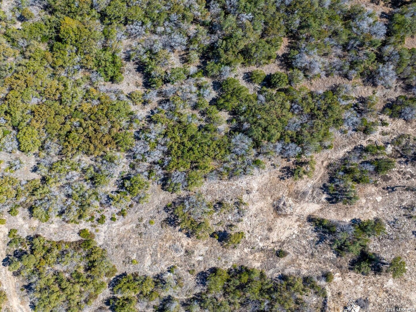6.02 acres in Medina County - photo 17