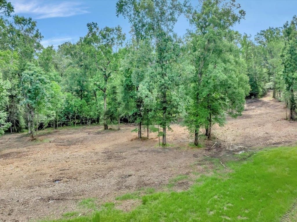 10.21 acres in Texas County - photo 6