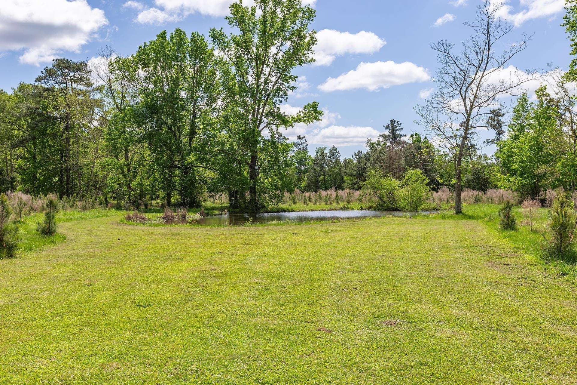 33.9 acres in Liberty County featured view