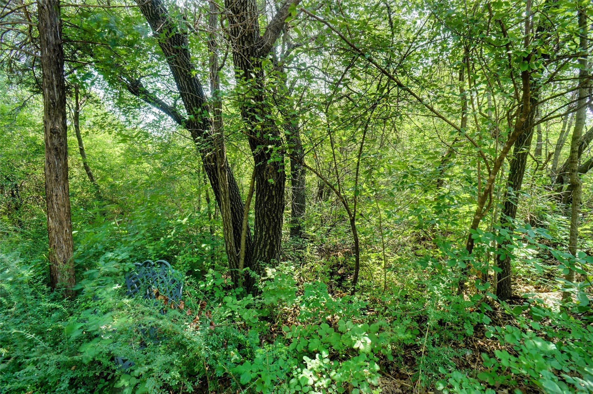36.72 acres in Tarrant County - photo 9