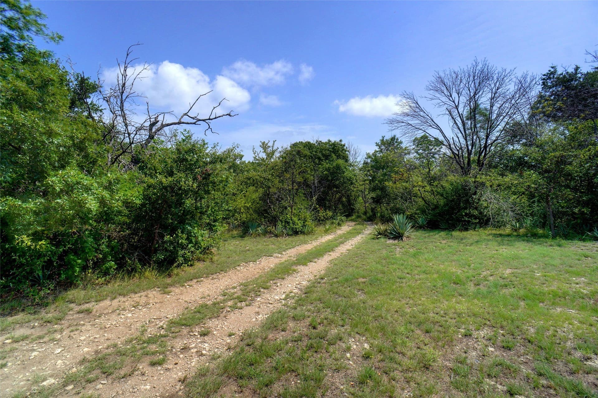 36.72 acres in Tarrant County - photo 8