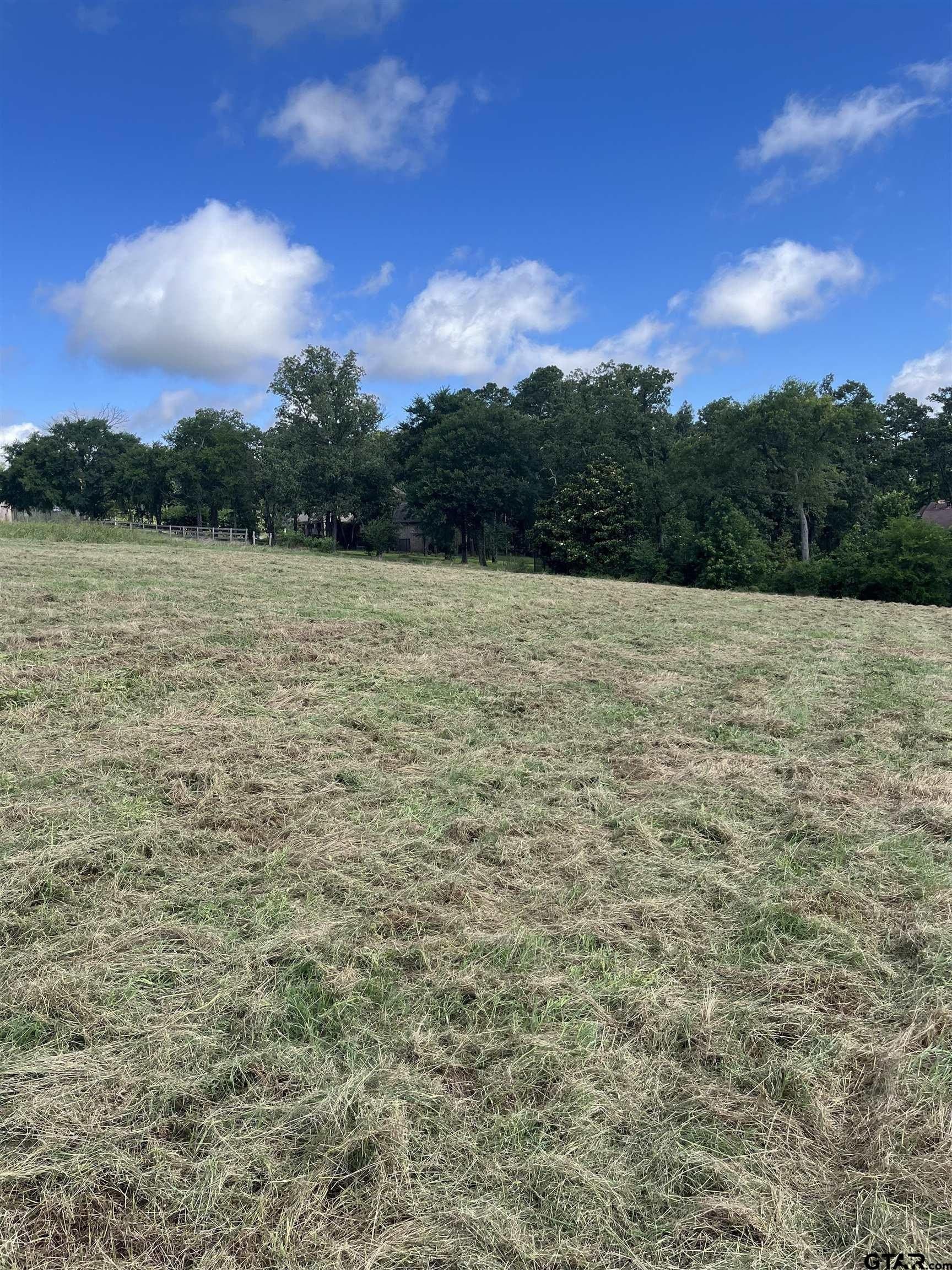 1.44 acres in Smith County gallery image 2