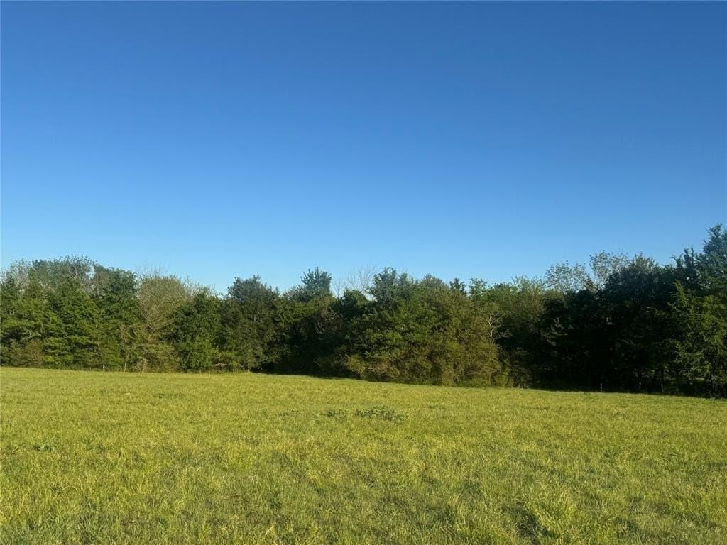 38.74 acres in Titus County gallery image 4