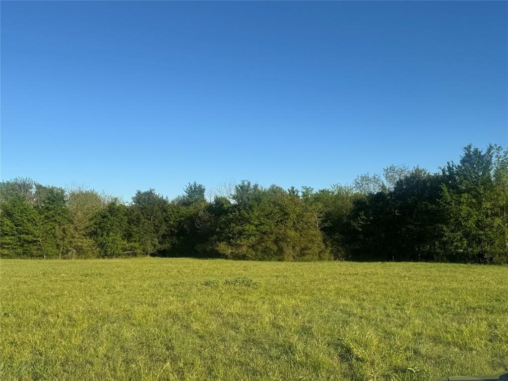 38.74 acres in Titus County featured view