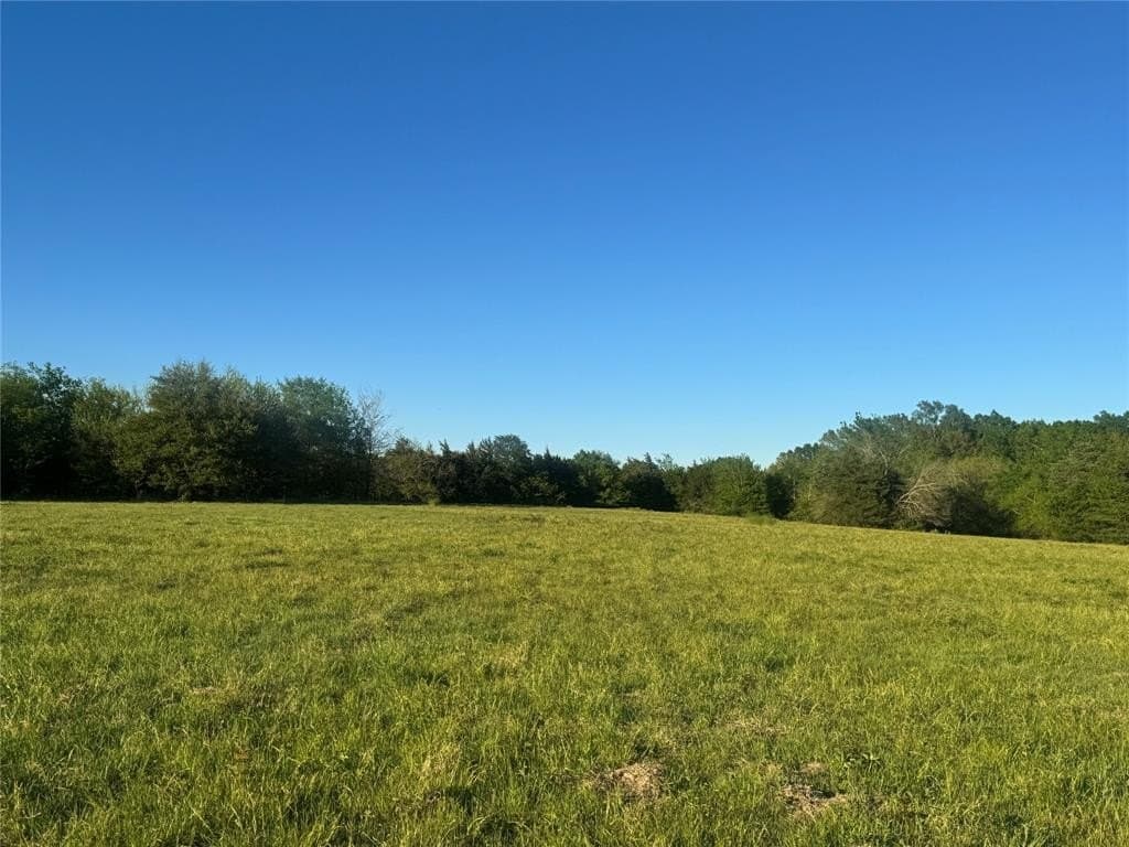 38.74 acres in Titus County gallery image 3