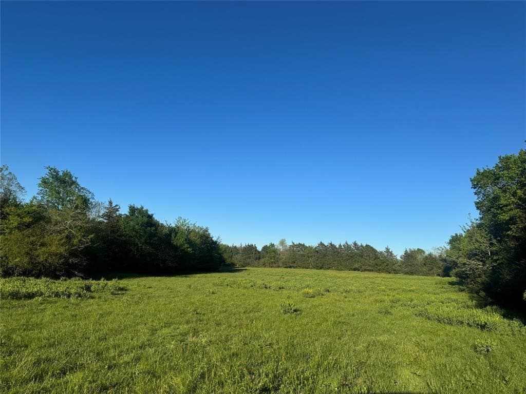 38.74 acres in Titus County gallery image 2