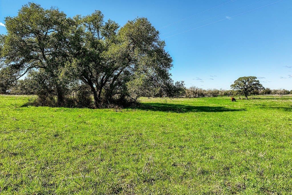 10.1 acres in Fayette County gallery image 2