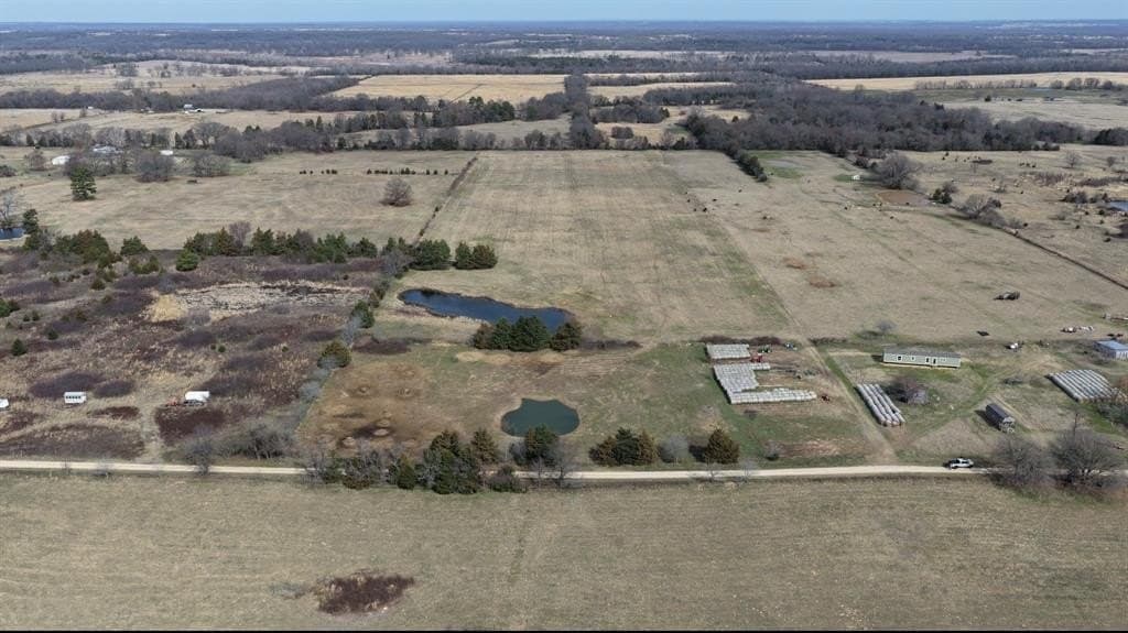 25 acres in Lamar County gallery image 3