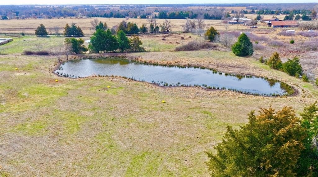 25 acres in Lamar County gallery image 4