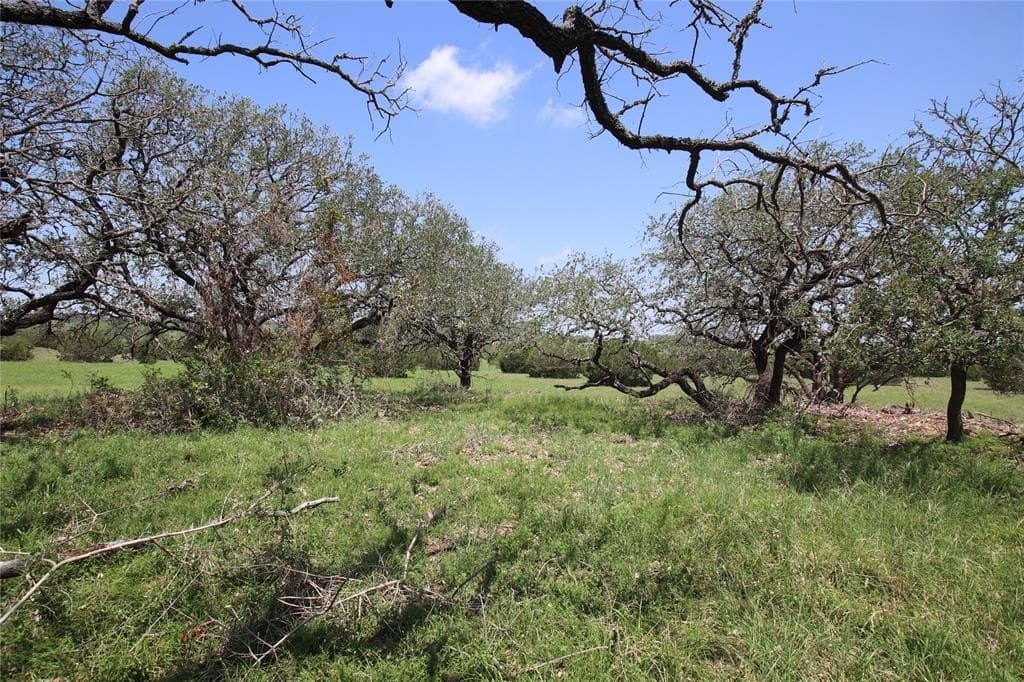 38.91 acres in Hamilton County gallery image 4