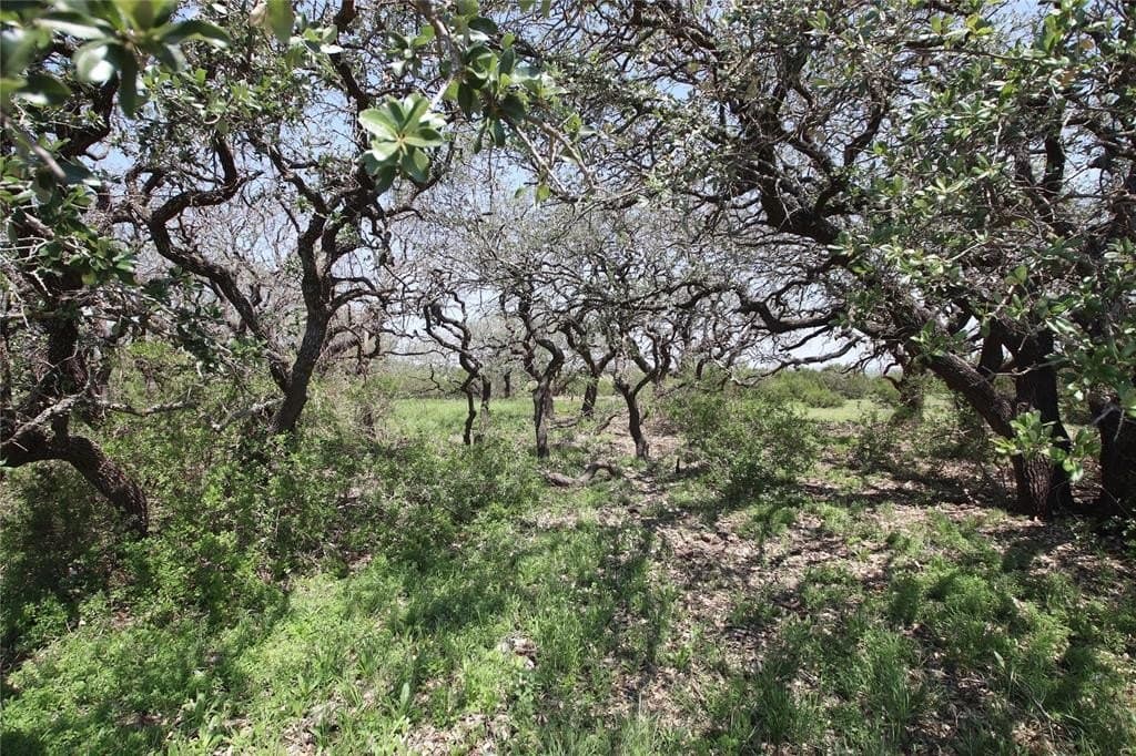 38.91 acres in Hamilton County gallery image 3