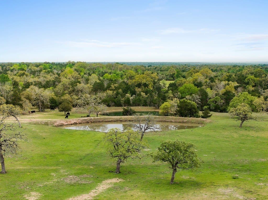 81.16 acres in Fayette County gallery image 4