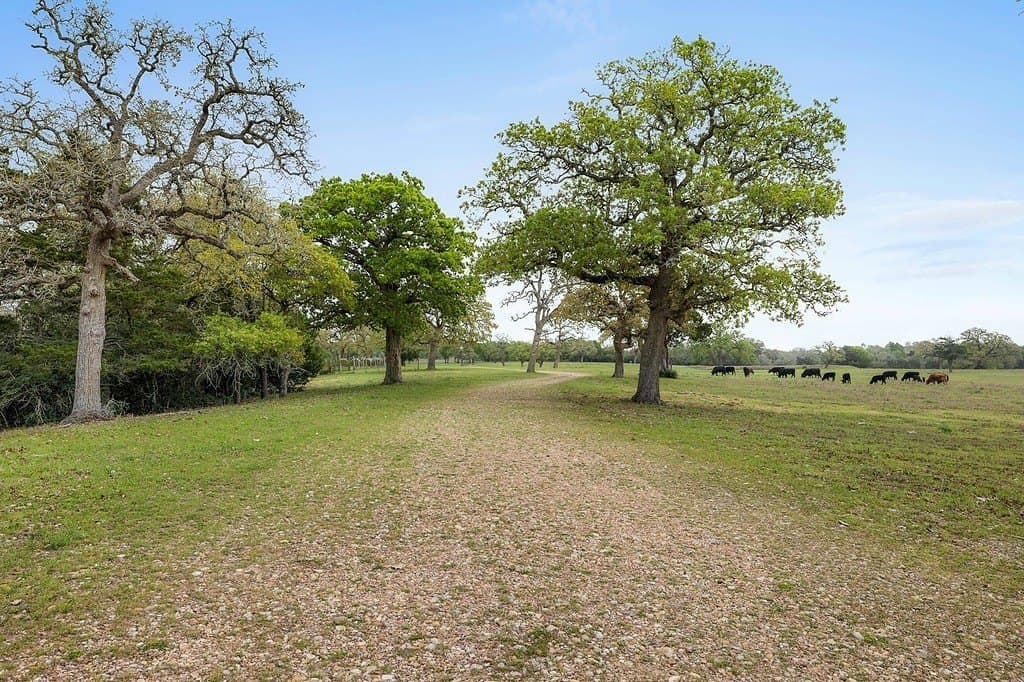 81.16 acres in Fayette County