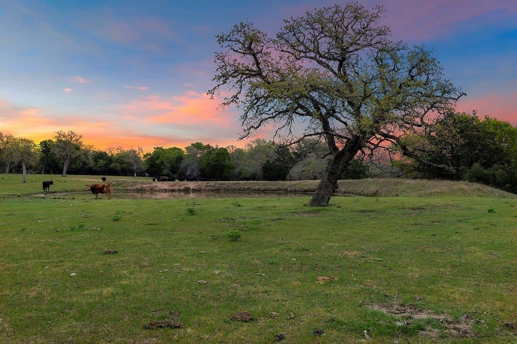 81.16 acres in Fayette County gallery image 2