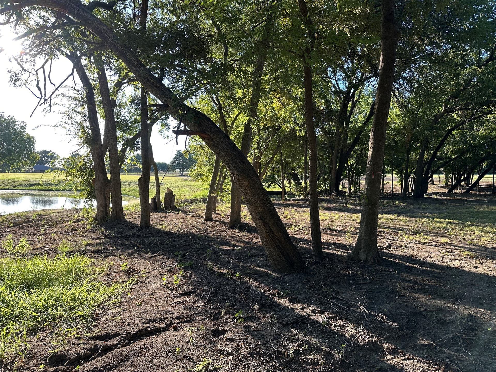 3.01 acres in Rockwall County - photo 11