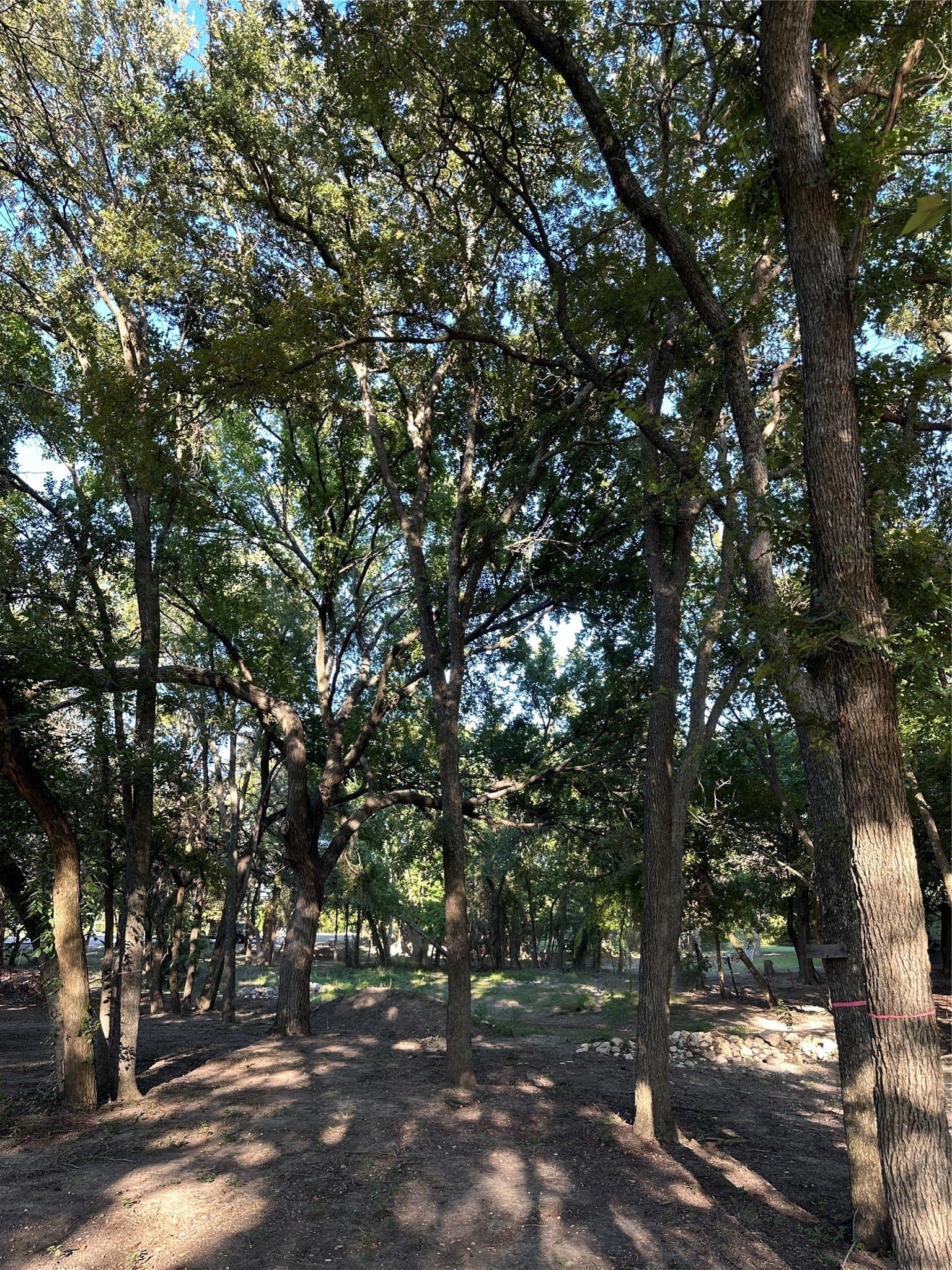 3.01 acres in Rockwall County - photo 9