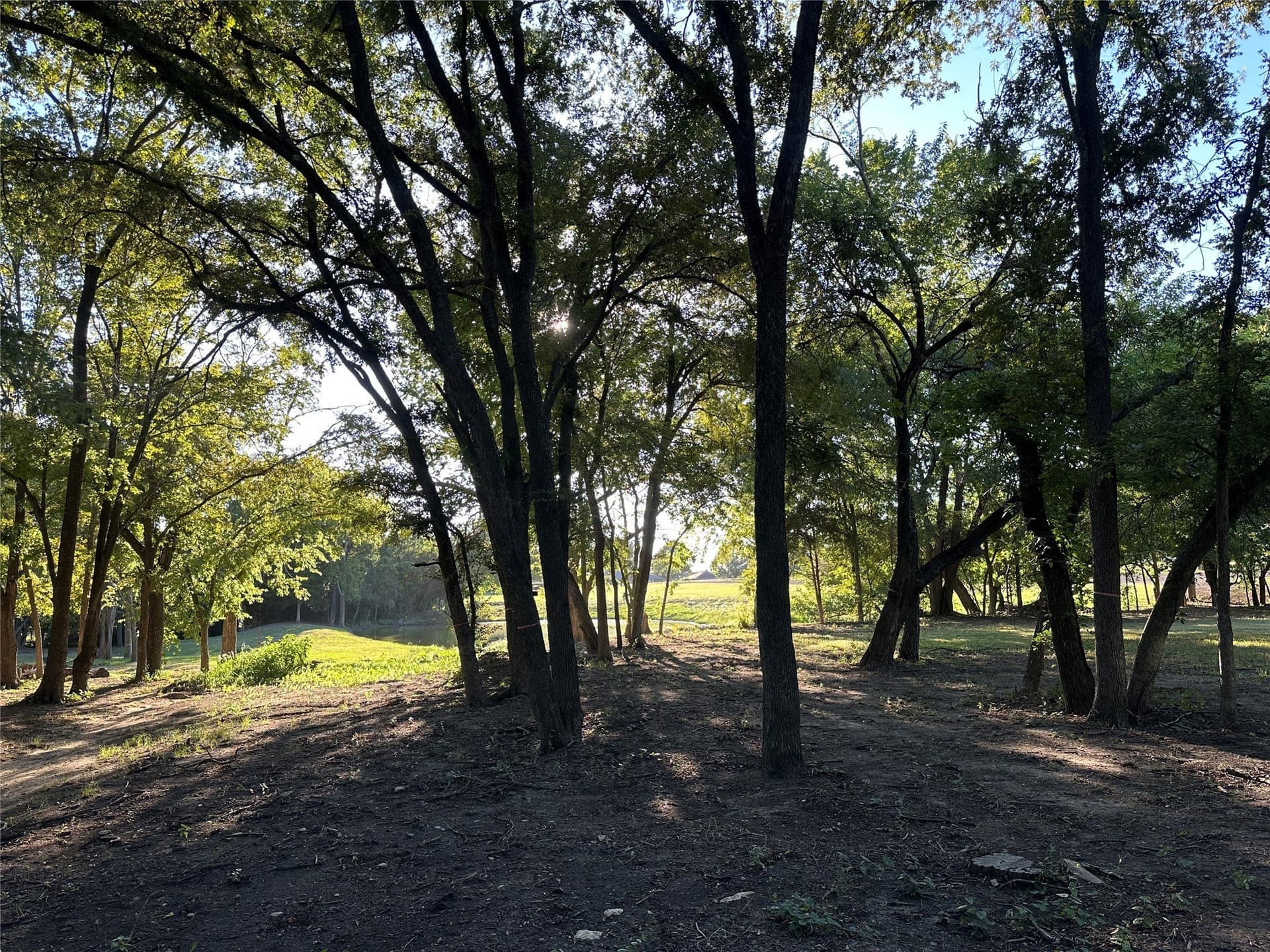 3.01 acres in Rockwall County - photo 8