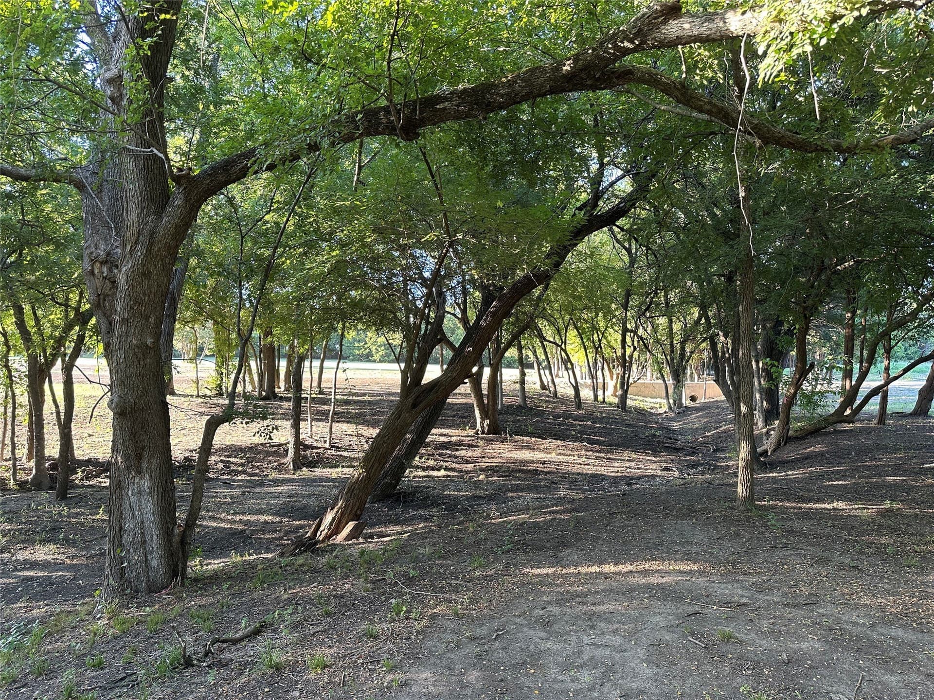 3.01 acres in Rockwall County - photo 13