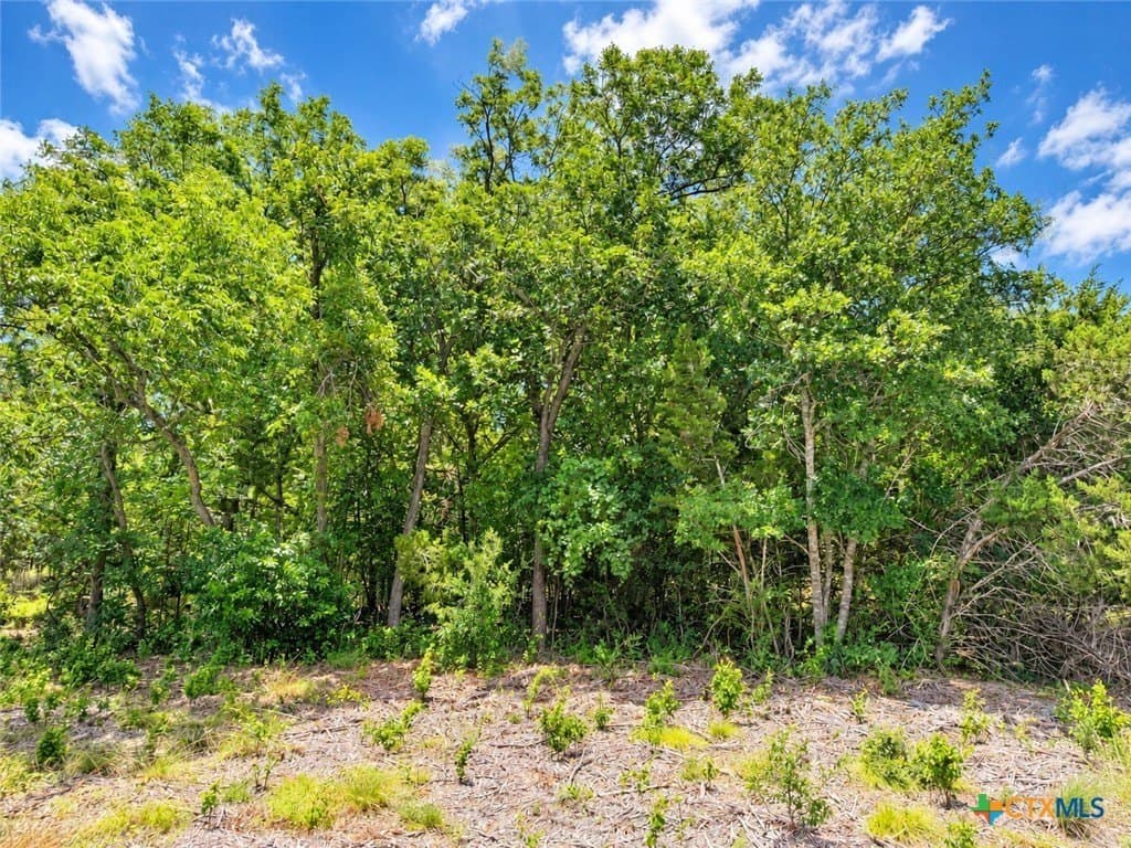 2.14 acres in Bell County - photo 7