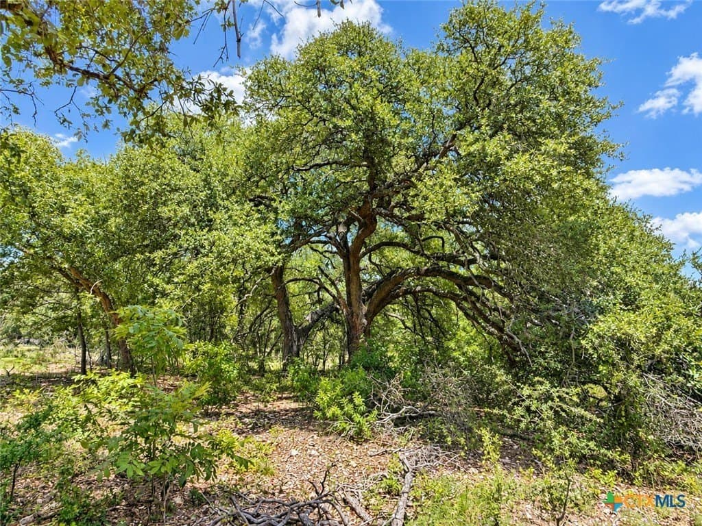 2.14 acres in Bell County - photo 4