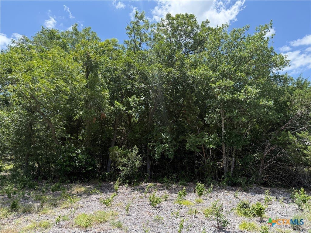 2.14 acres in Bell County - photo 6