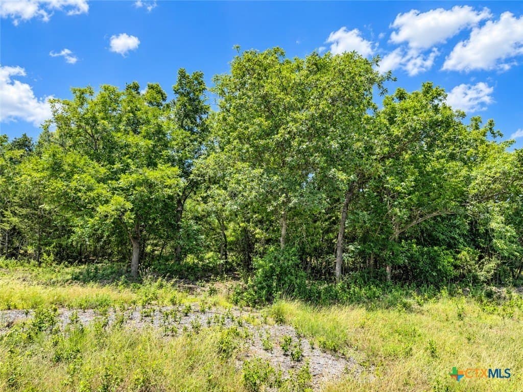 2.14 acres in Bell County - photo 6