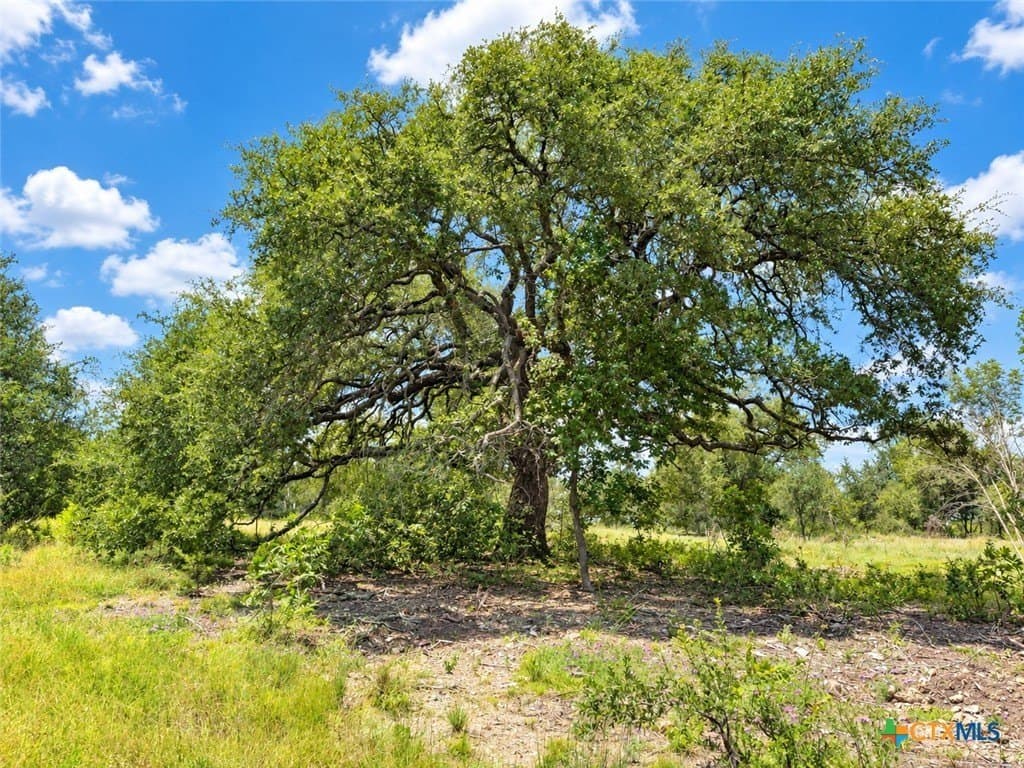 2.14 acres in Bell County - photo 3