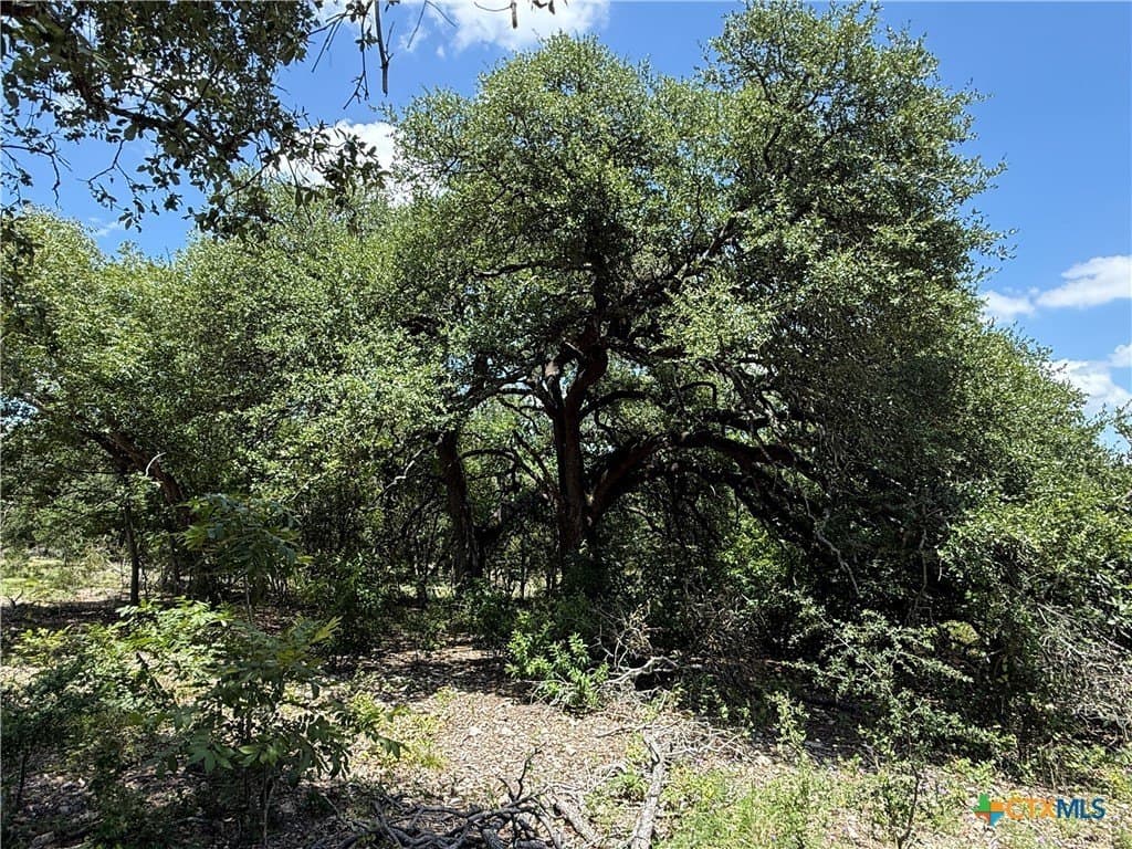 2.14 acres in Bell County featured view