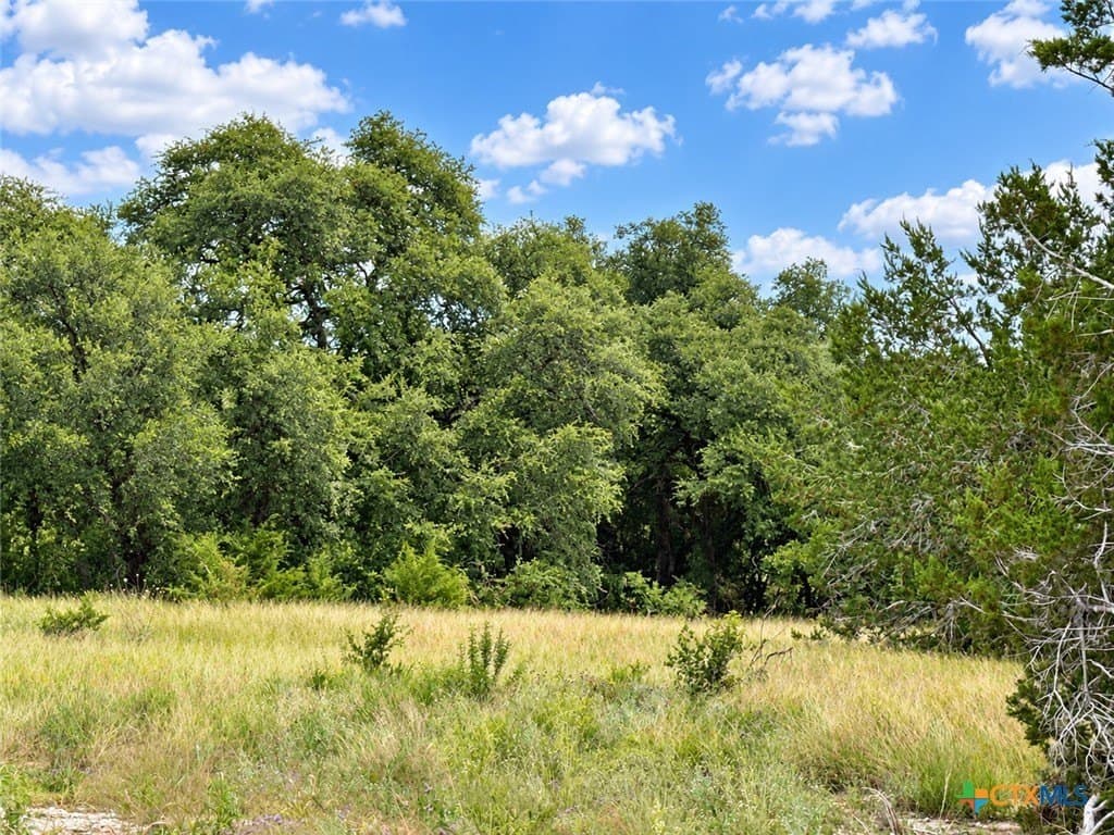 2.14 acres in Bell County - photo 5