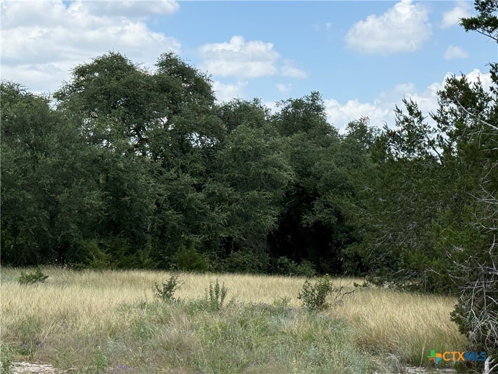 2.14 acres in Bell County gallery image 4