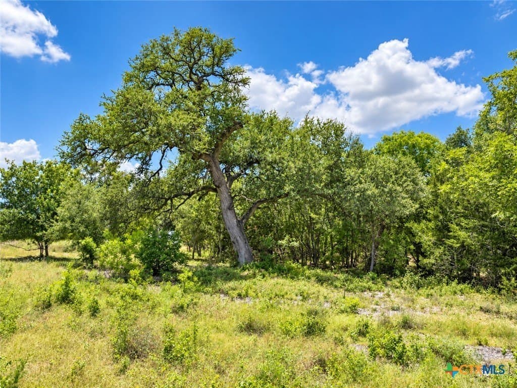2.14 acres in Bell County - photo 8