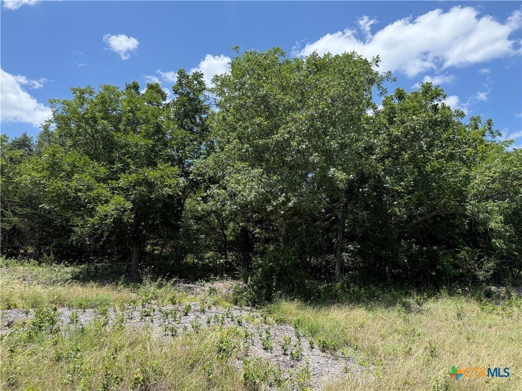 2.14 acres in Bell County - photo 7