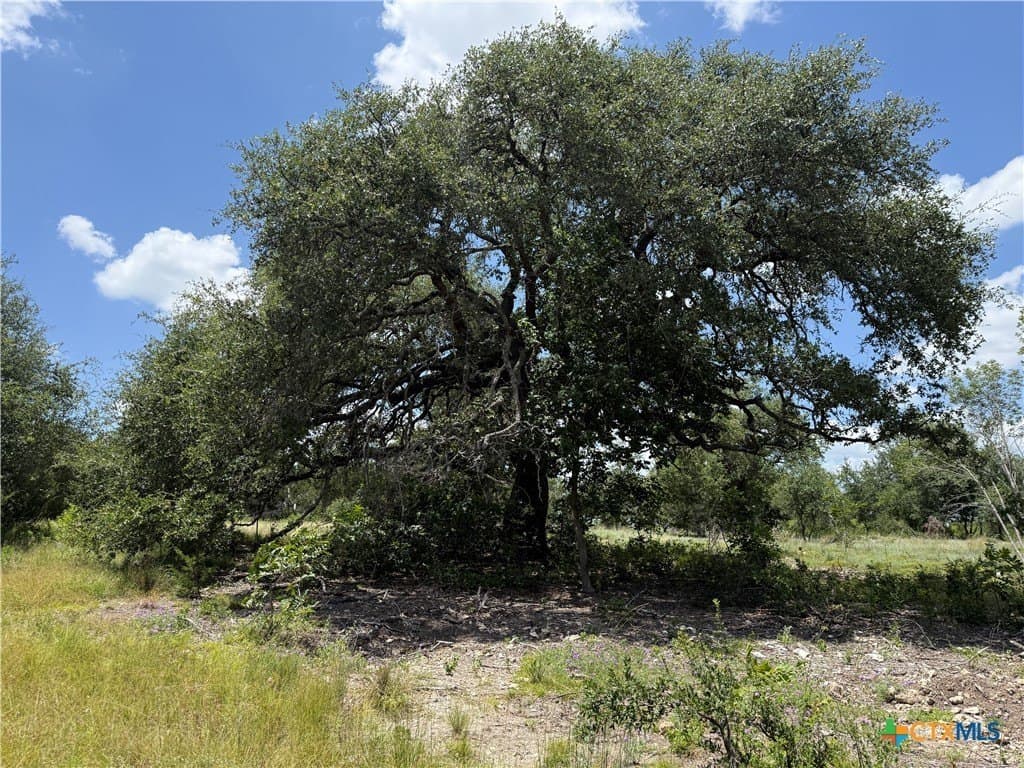 2.14 acres in Bell County gallery image 2